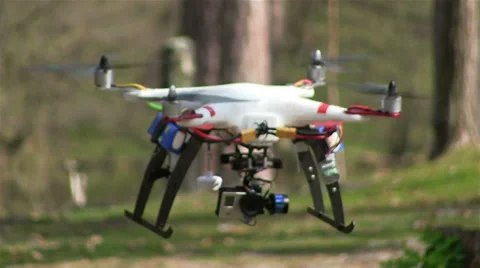 Copter\drone with camera  fly in  spring wood Stock Footage 37295970
