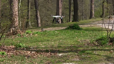 Copter\drone  slow  fly in  spring wood Stock Footage 37296161