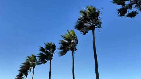 Copy 22F62CA9-9B13-4148-ACBD-A8E386BFE4F1 Video stock 340226672