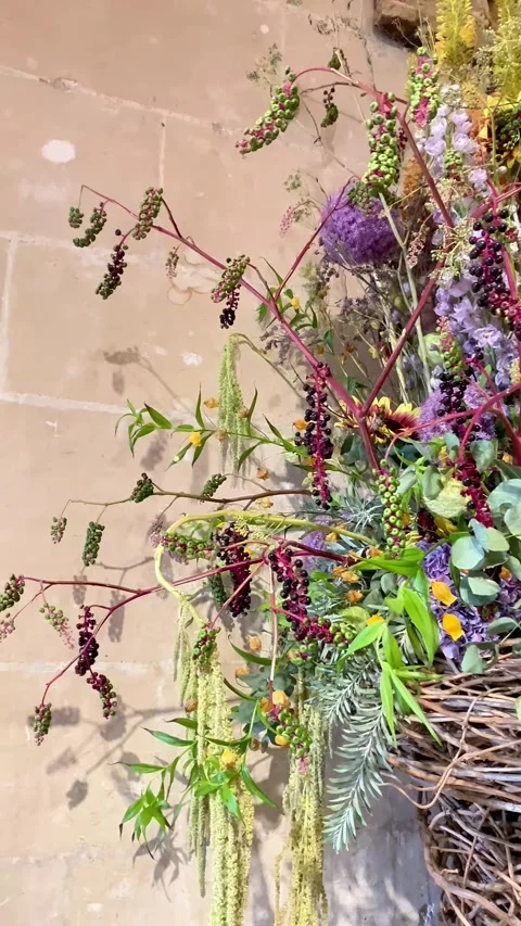 Copy 59FCE359-4A96-4136-924D-6E94ADE67C22 스톡 동영상 331346953