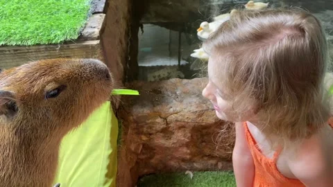 Copy 67A9A086-CD9B-414C-A989-C61B49BC9440 Video stock 332393953