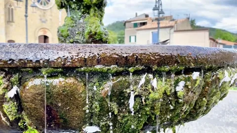 Copy 79E8EE47-56AD-4324-89FF-C5D07A9558FA Stock Footage 331346996