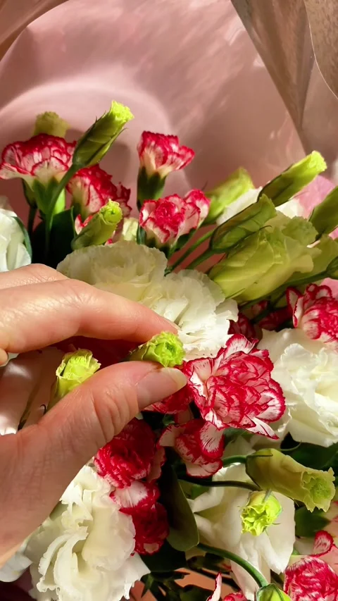 Copy 7B3C58B8-0A40-4AF9-8A75-8F82015AFC34 Stock Footage 340224032