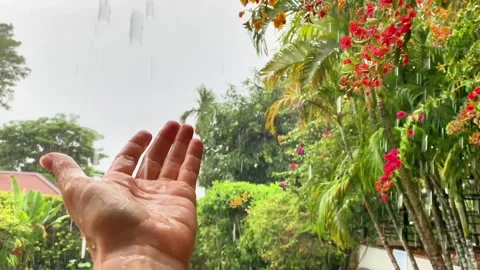 Copy 7FA577D7-CEE1-46CF-B94D-5279C90BAEE7 Video stock 332393954