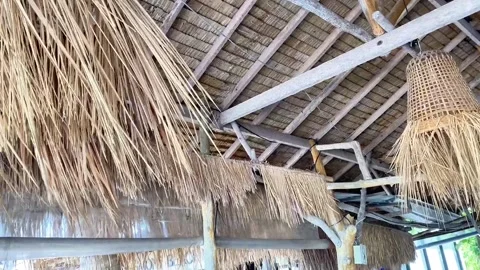 Copy B7B3EAA0-E7AC-4EF8-ADC8-2D98B2013511 Video stock 331347033