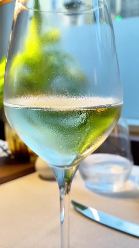 Copy BB7DC9C0-74FA-4CBB-B0D9-BF1A41903A41 스톡 동영상 331347041