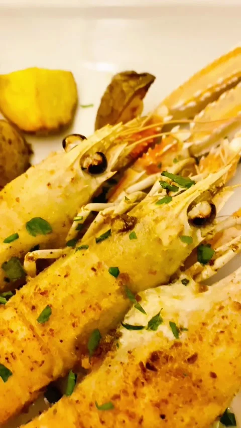 Copy CBC633AD-2C81-4B02-8D18-E548051FDFA8 Video stock 321692716