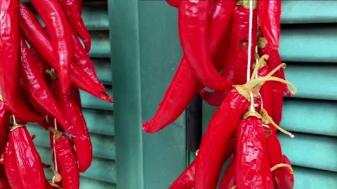 Copy DC35D54C-D8A5-4741-A8F3-D242B33F81B5 스톡 동영상 330465380