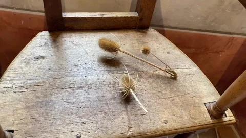 Copy E6E57054-F1DD-4E8A-B3EF-B509B345ACF5 Stock Footage 331347037