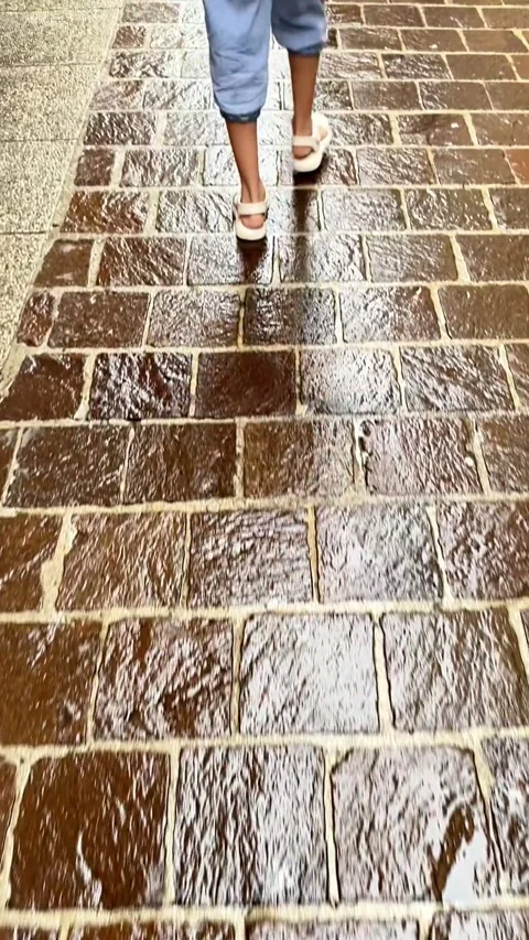 Copy FD2D2CF1-5662-474A-855D-040C8A608FAA Stock Footage 321692732