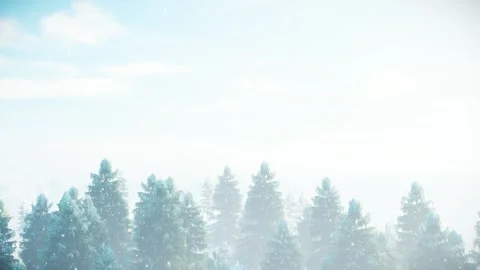 Copy Space Background High Angle Shot of Pine Forest 3D Animation Stock Footage 296147978
