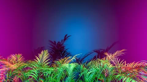 Copy space gradient colorful background with tropical plants leaves Stock Photos