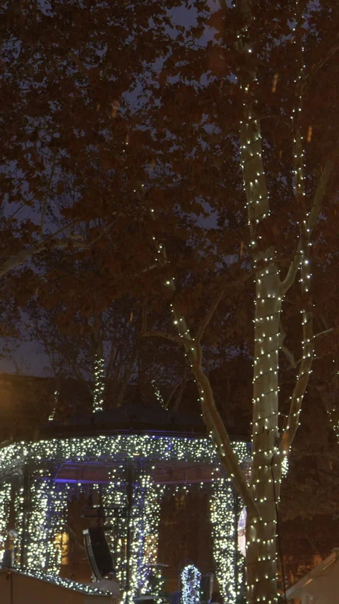 COPY SPACE: Lamp lights up the festive Christmas park on a cold night in Zagreb. Stock Footage 307141823