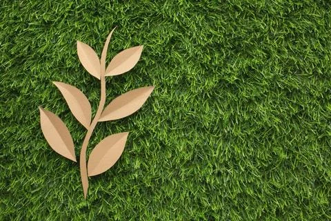 Copy space leaf shape grass. High quality photo copy space leaf shape gras... 写真素材