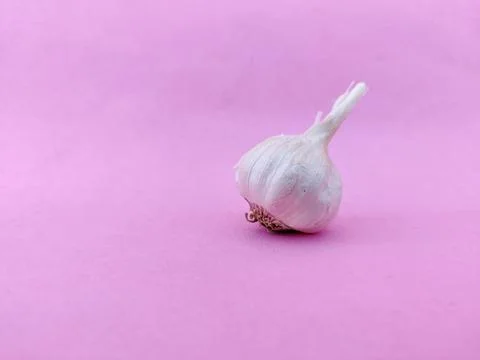 Copy space of one small size garlic bulb isolated on pink background Stock Photos
