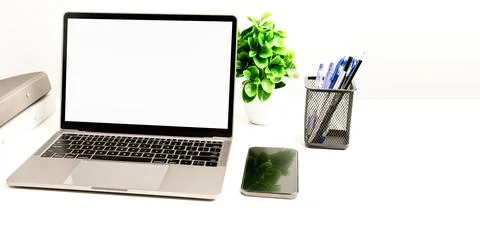 Copy space on right for design or text, Closeup, Gray, and blurred background Stock Photos