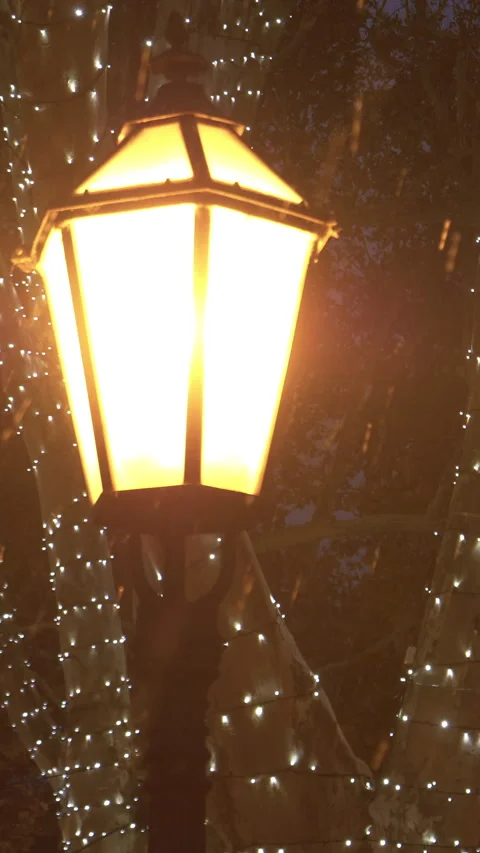 COPY SPACE: Tiny snowflakes start falling from the sky and past a lantern. Stock Footage 307141502
