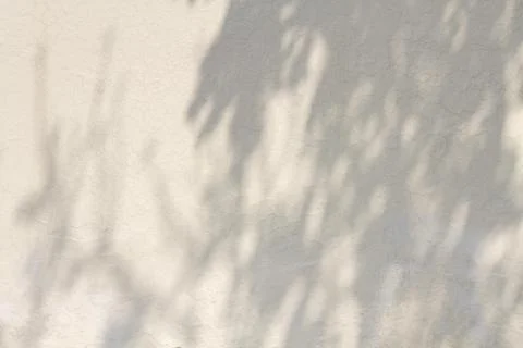 Copy space white concrete wall with shadows. High quality photo Stock Photos