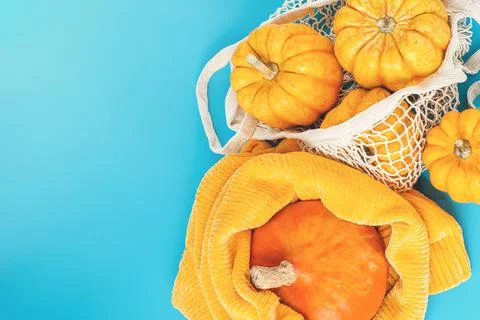 Copy space.Vegetable fall food concept.Composition of different varieties Stock Illustration