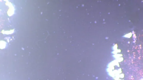 COPY TITLE SPACE Vintage 8mm Damaged Film Leader Texture Damaged Endless Loop Stock Footage