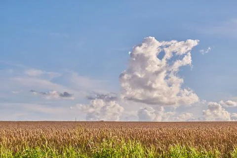 Copyspace alongside cumulus clouds floating in a blue sky background on the Stock Photos