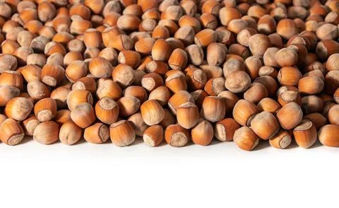 Copyspace background composition with the borders made of hazelnuts isolate.. Fotos Stock