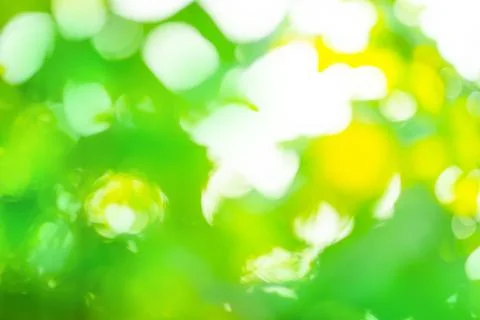 Copyspace bokeh  blurry effect background. Blurry green bokeh  background. Photos