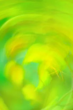 Copyspace bokeh  blurry effect background. Blurry green bokeh  background. 스톡 사진
