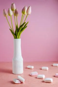 Copyspace with colorful mini marshmallows on a table next to pink tulips in a Stock Photos