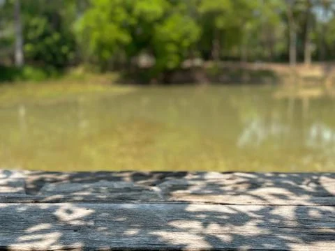 Copyspace of empty wooden table with view of pond and trees Stock Photos