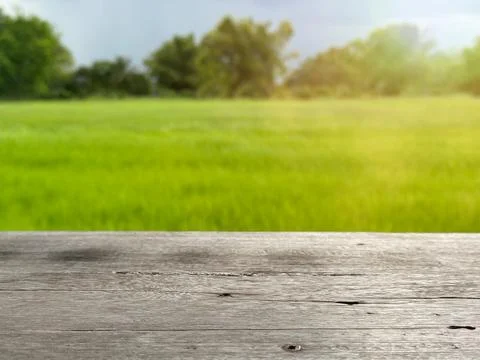 Copyspace of empty wooden table with view of plant field and sunlight Stock Photos