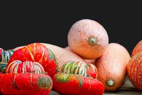 Copyspace of Gourds Foto stock