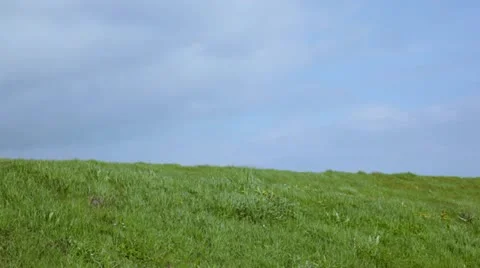 Copyspace grass and a blue sky on a windy spring day, intro or opener in 1080p Stock Footage 10931346