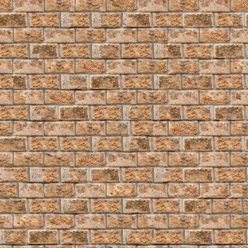 Coquina Wall. Seamless Tileable Texture. 스톡 사진