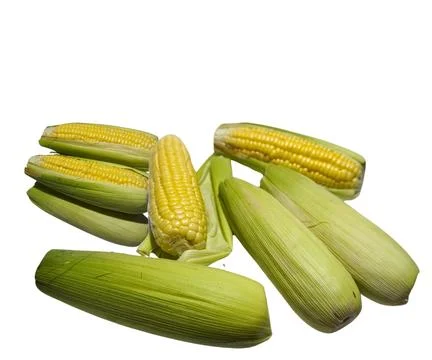 The Cor Stock Photos