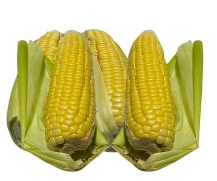 The Cor Stock Photos