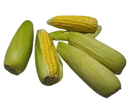 The Cor Stock Photos