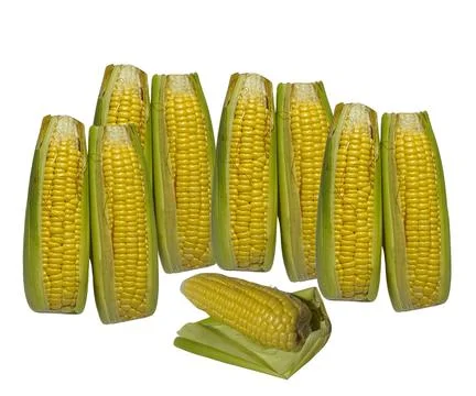 The Cor Stock Photos