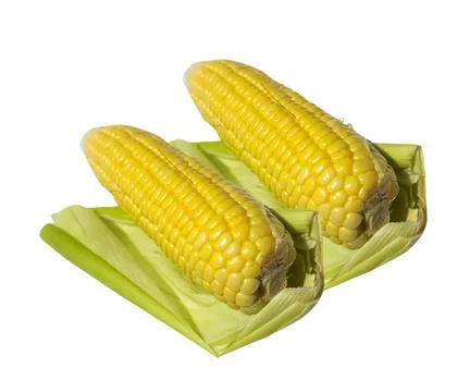 The Cor Stock Photos