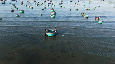 Coracle boats, Vietnam Stock-Footage 307613247