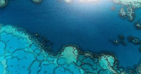 Coral in aerial view in the pacific Vídeos de archivo 93140953