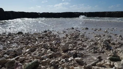 Coral beach and ocean waves crashing on rocky reef Stock Footage 337878767