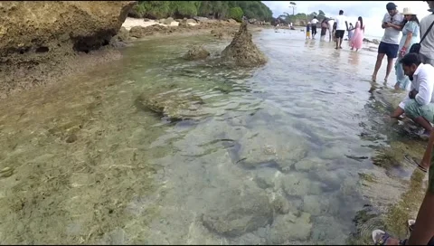 Coral Beach Surf Seamless Loop Footage In Andaman Island Video stock 194291752