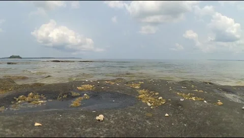 Coral Beach Surf Seamless Loop Footage In Andaman Island Video stock 194304090
