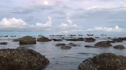 Coral on the beach, Time-lapse Stock Footage 251730047