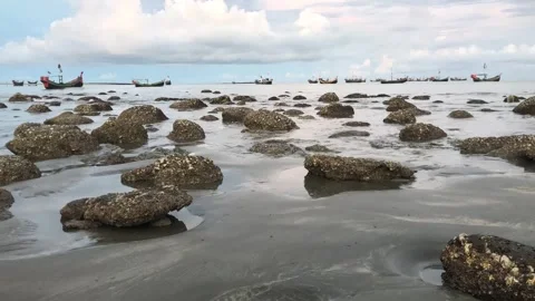 Coral on the beach, Time-lapse Video stock 251730051