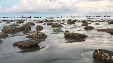 Coral on the beach, Time-lapse Stock Footage 251730059