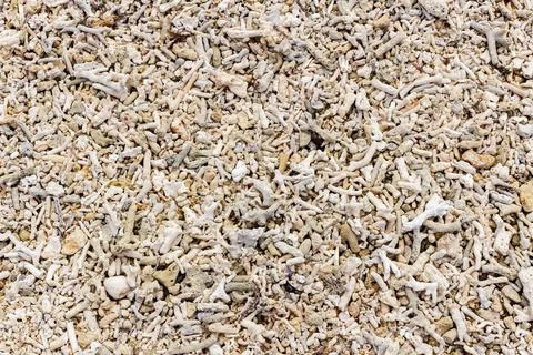 Coral beach, top view. Fragile white coral on the beach. Stock Photos
