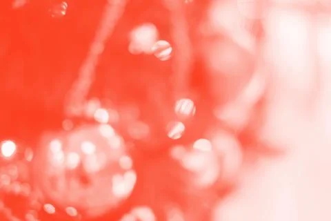 Coral blurred background Stock Photos