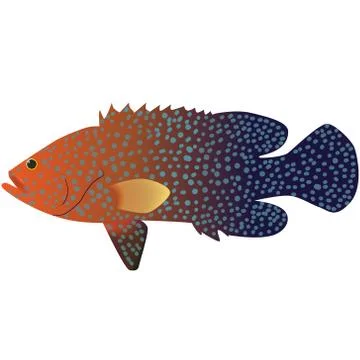 Coral Cod Stock Illustration